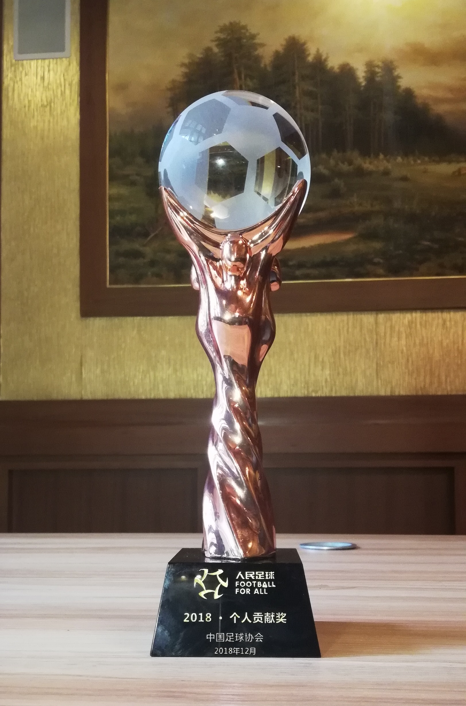 中国足球协会-2018·个人贡献奖-马明宇